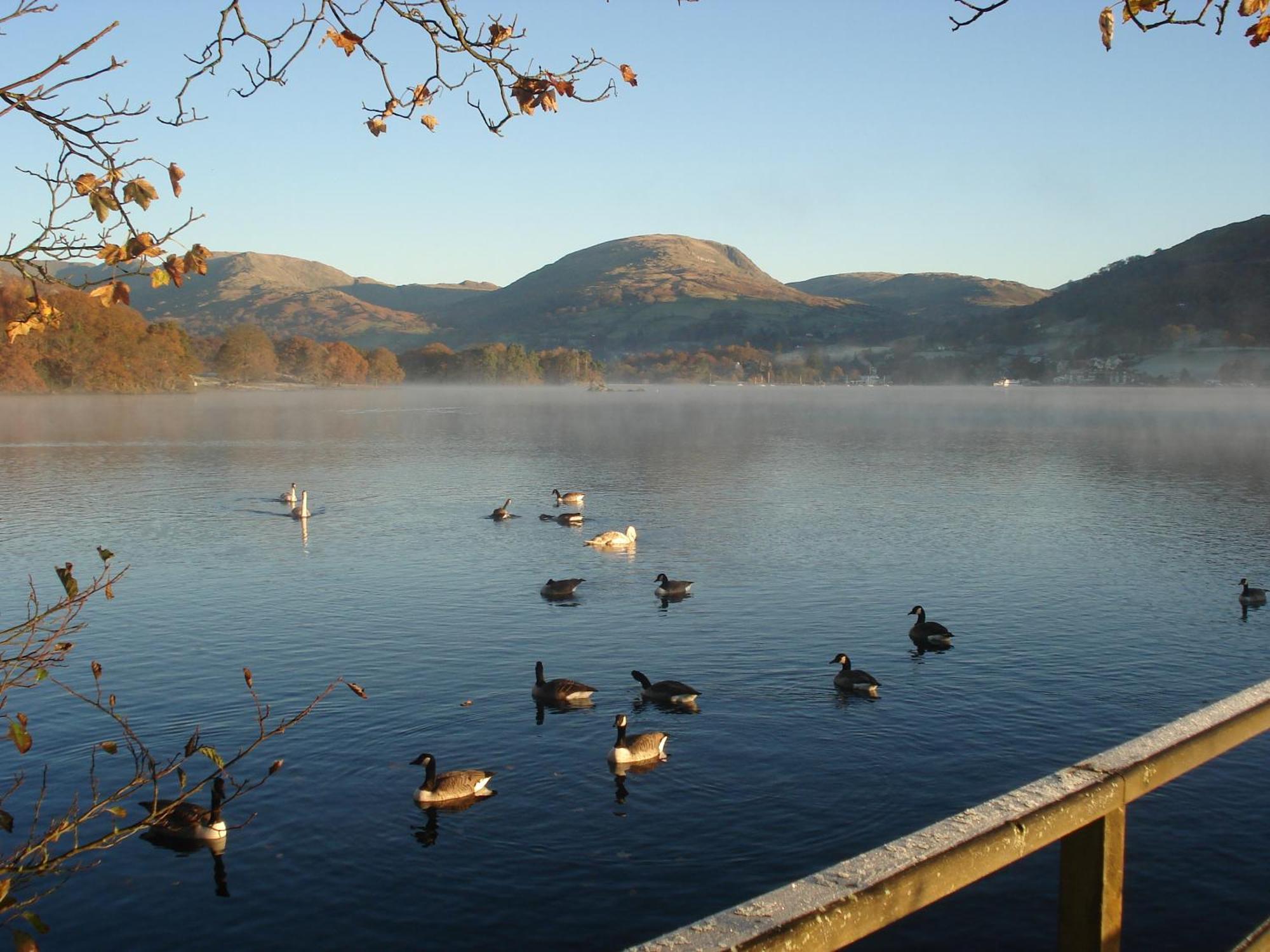 Affittacamere Autumn Leaves Windermere